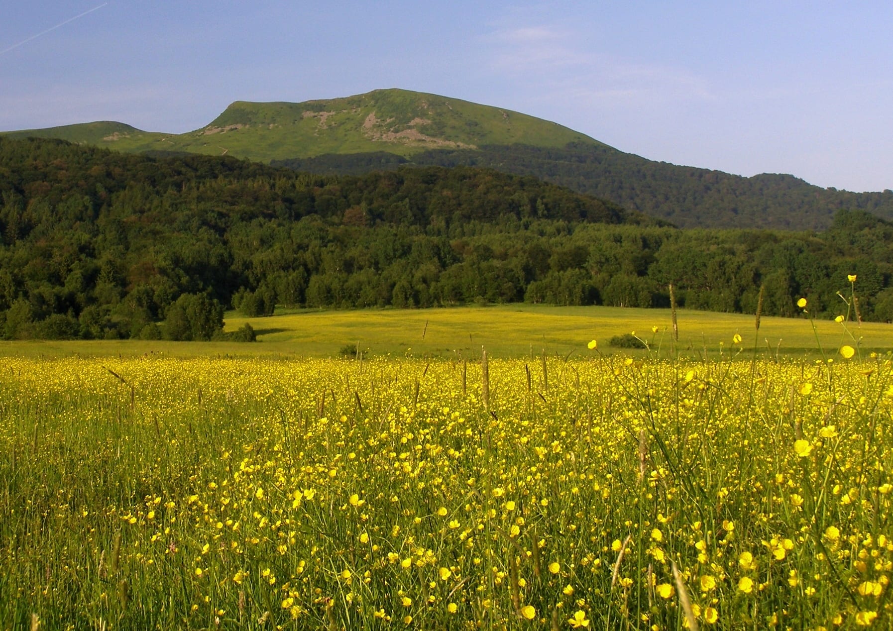 Tarnica: Natural & Historical Path hiking route preview