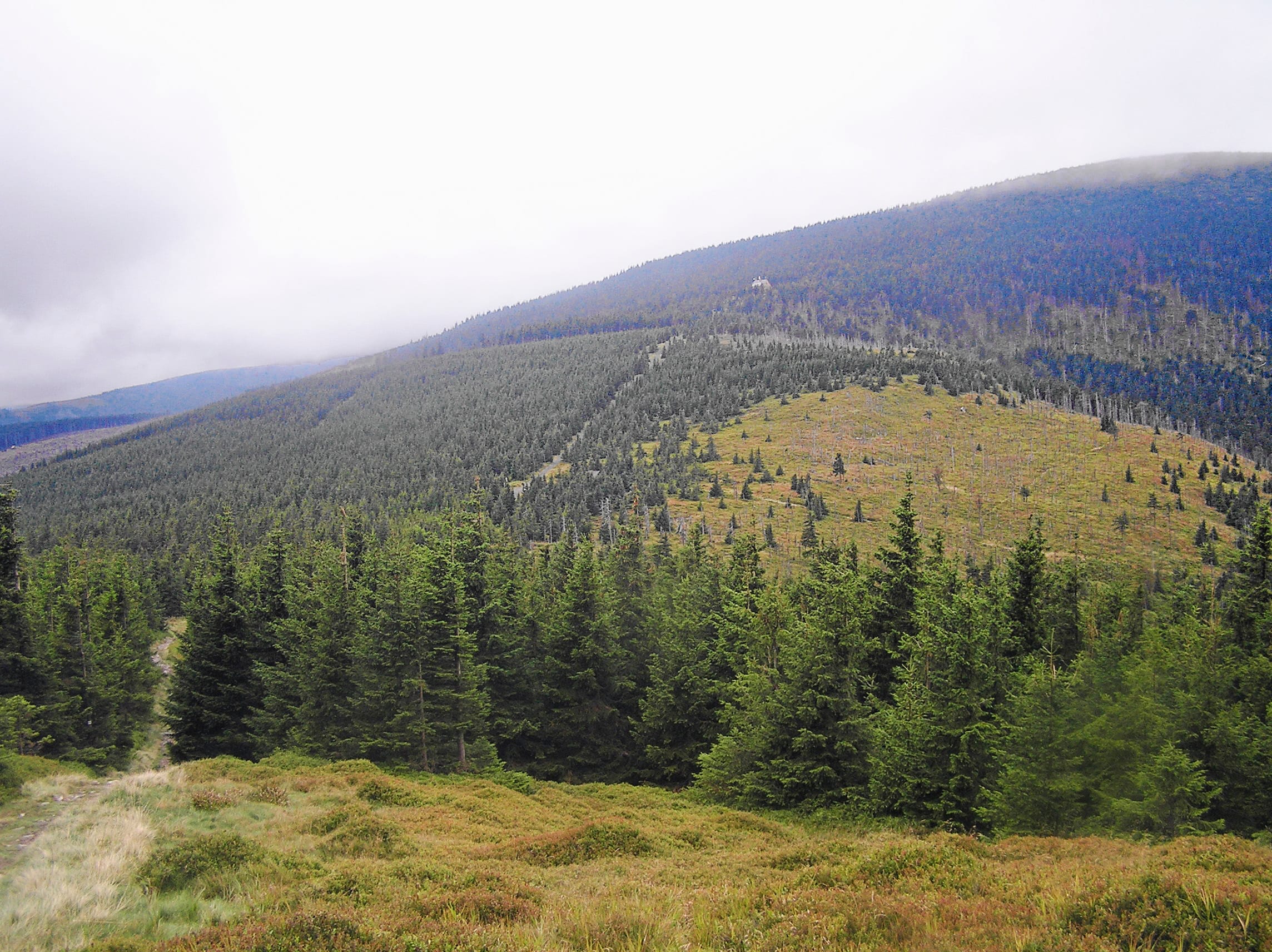 Skalny Stół: The Sentinel of Śnieżka hiking route preview