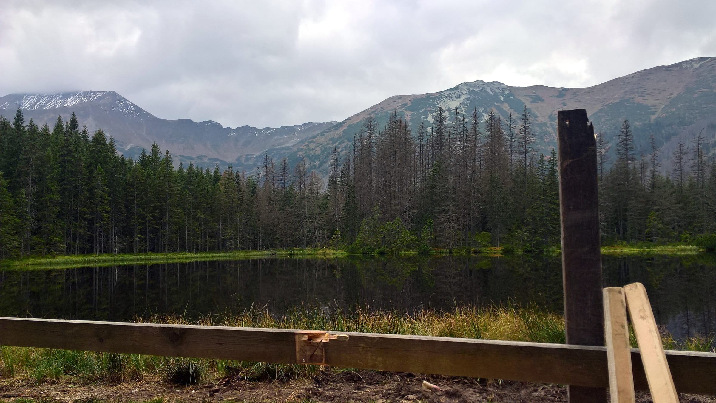 Dolina Kościeliska: The Forest Lake hiking route preview