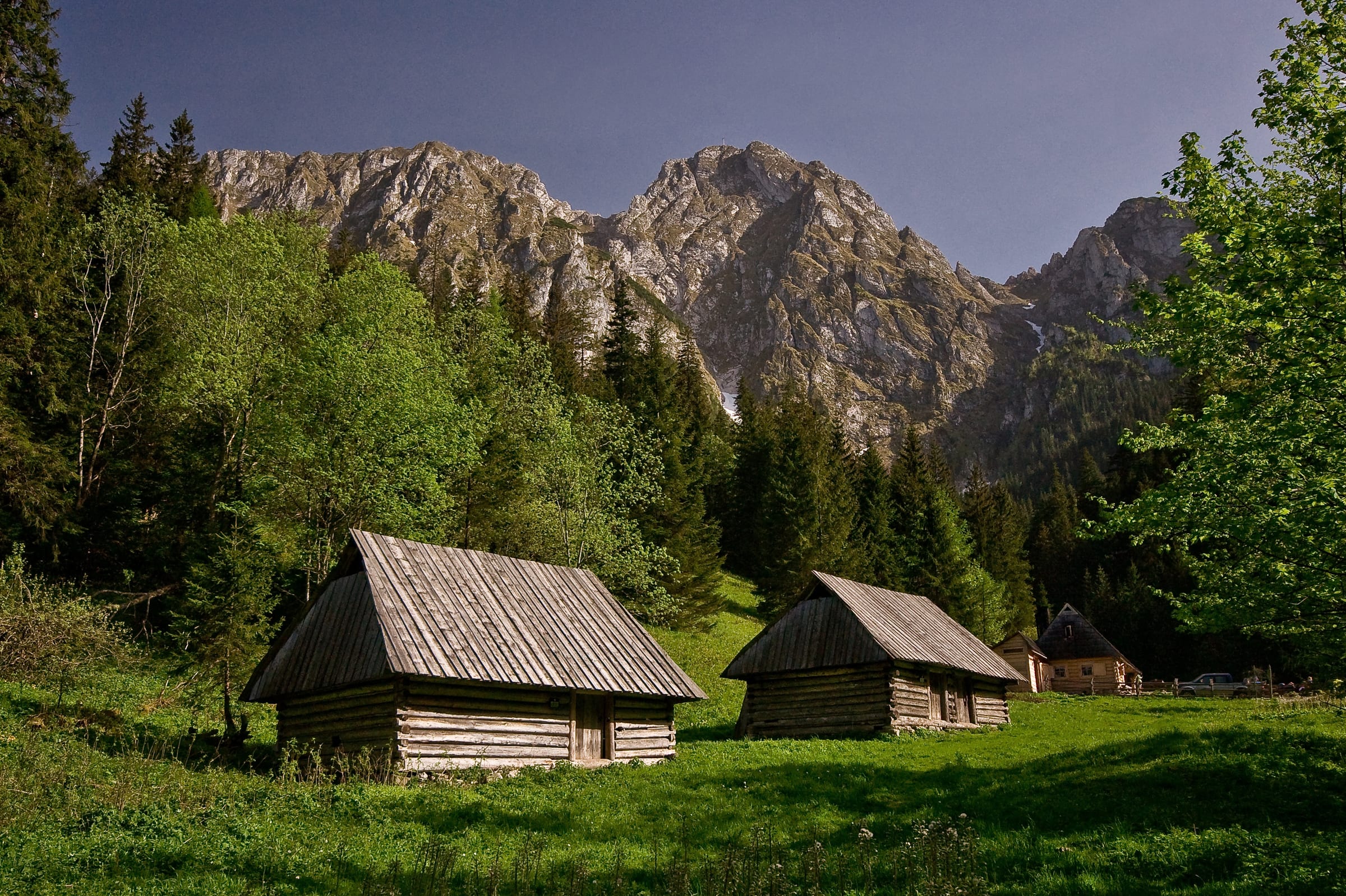 Dolina Strążyska: The Forest Ridge hiking route preview
