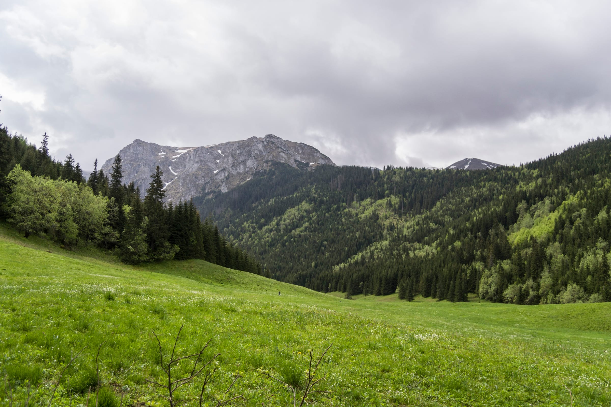 Dolina Małej Łąki: The Giewont Cathedral hiking route preview