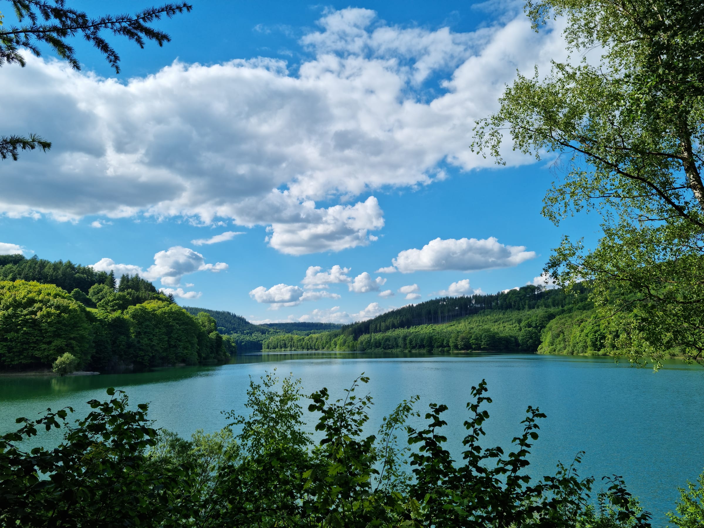 Hennesee: the Bay and the Hill hiking route preview